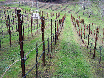 100306 Cab Ready for spring.gif